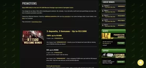 Bonuses Springbok Casino