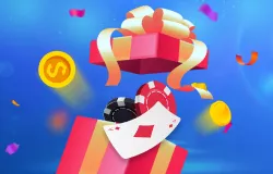 Bonuses and Promotions